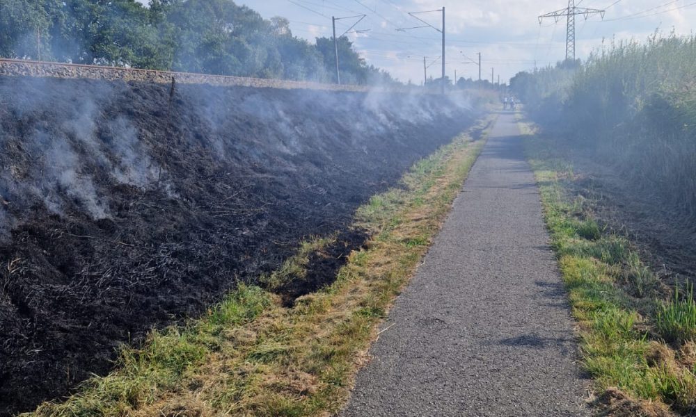 fw-lk-leer-gro-einsatz-entlang-der-bahnstrecke-130-einsatzkr-fte